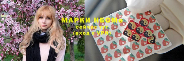 метадон Няндома